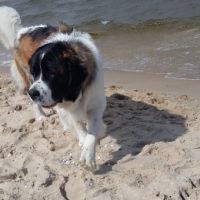 morze089