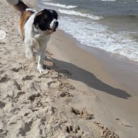 morze094