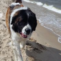 morze095