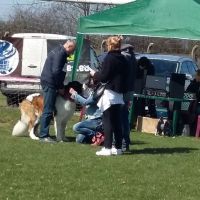 wystawa_kedzierzyn_kozle_003