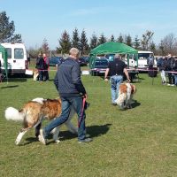 wystawa_kedzierzyn_kozle_005