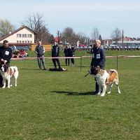 wystawa_kedzierzyn_kozle_006