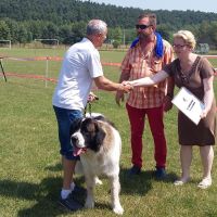 wystawa_kielce_002