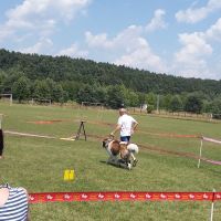 wystawa_kielce_004