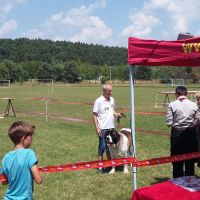 wystawa_kielce_005