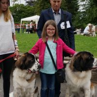wystawa_soignies_002