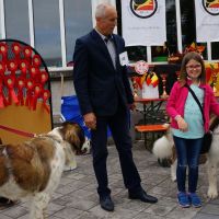 wystawa_soignies_003