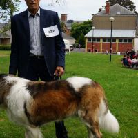 wystawa_soignies_004