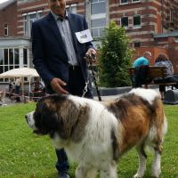 wystawa_soignies_005