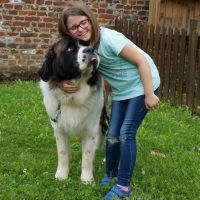 wystawa_soignies_007