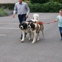 wystawa_soignies_008