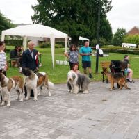 wystawa_soignies_010