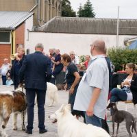 wystawa_soignies_011
