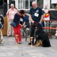 wystawa_soignies_012