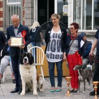 wystawa_soignies_013