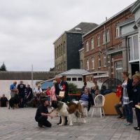 wystawa_soignies_014