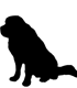 Kamanda