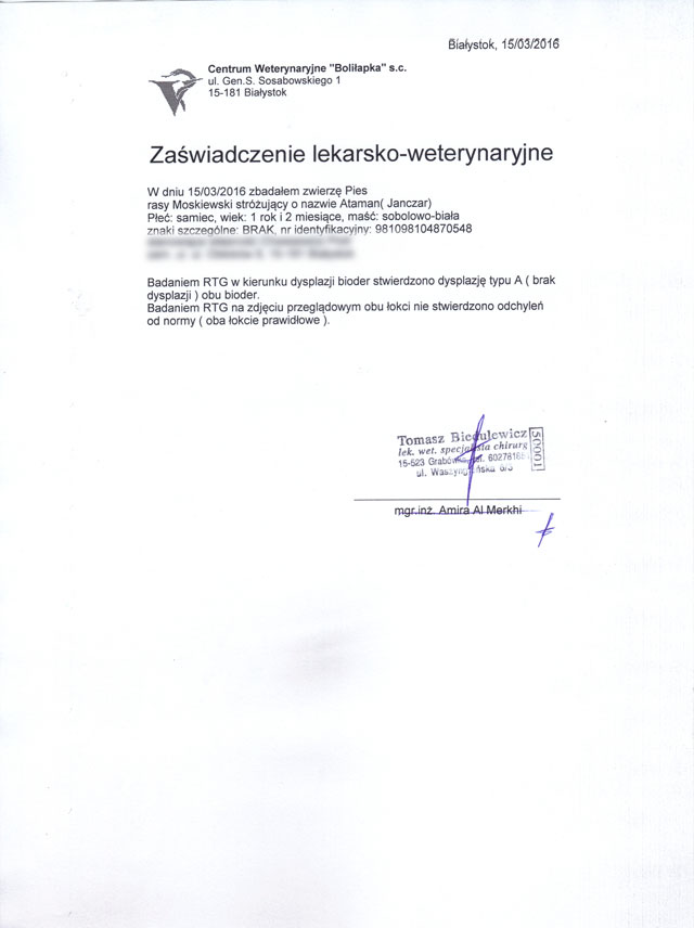zaswiadczenie lekarskie ataman yanichar
